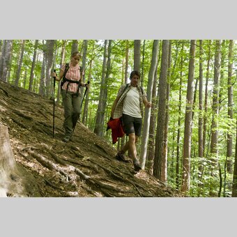 Bei der Stainzer Warte | © STG | Leo Himsl | ETZ-Pilgrimage Europe SI-AT
