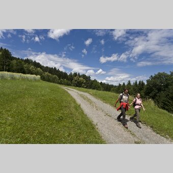 Wandern bei Eibiswald | © STG | Leo Himsl | ETZ-Pilgrimage Europe SI-AT
