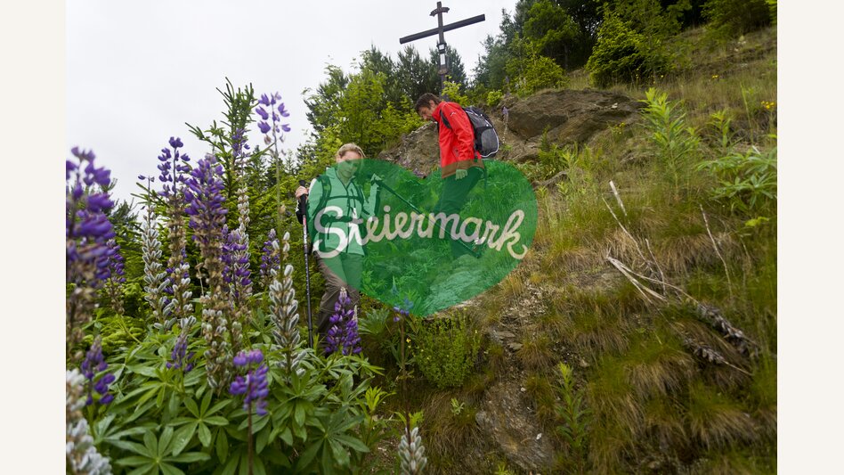 Beim Medjugorje Kreuz auf der Soboth | © STG | Leo Himsl | ETZ-Pilgrimage Europe SI-AT