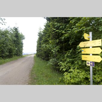 Weg zur Dreieckalm auf der Soboth | © STG | Leo Himsl | ETZ-Pilgrimage Europe SI-AT