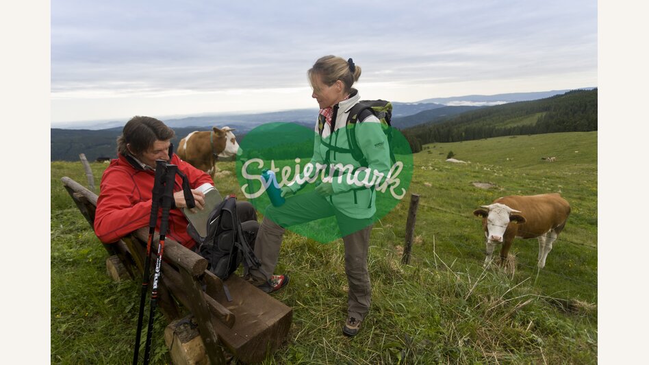 Dreieckalm auf der Soboth | © STG | Leo Himsl | ETZ-Pilgrimage Europe SI-AT