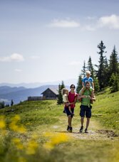 Frühlingswanderung auf die Frauenalpe