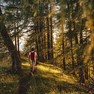 Wandern in Ramsau am Dachstein