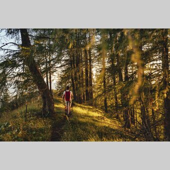 Hiking in Ramsau am Dachstein | © Steiermark Tourismus | photo-austria.at
