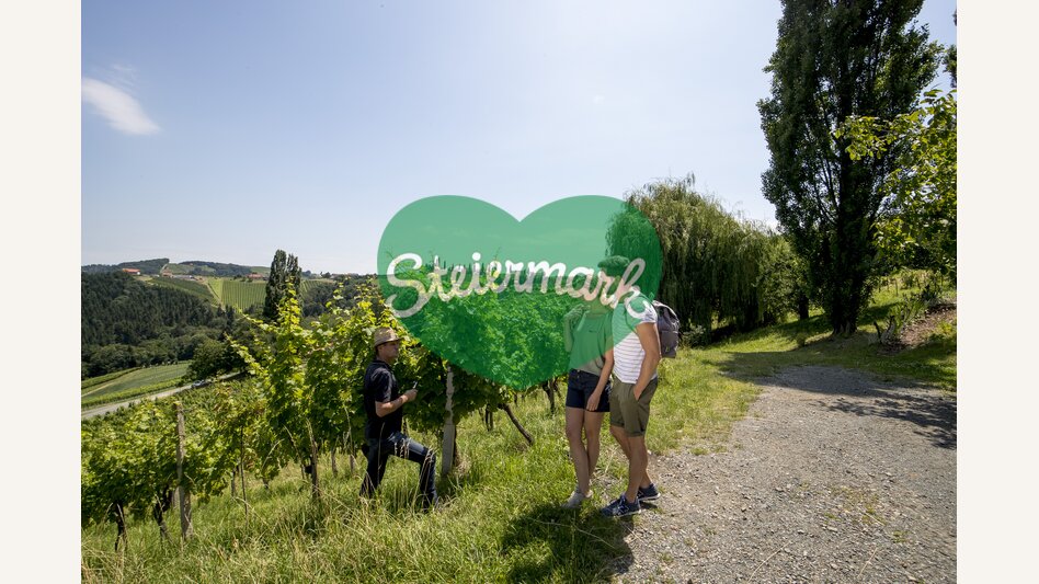 In the vineyards of Hans Söll on the Sernauberg | © Südsteiermark | Tom Lamm