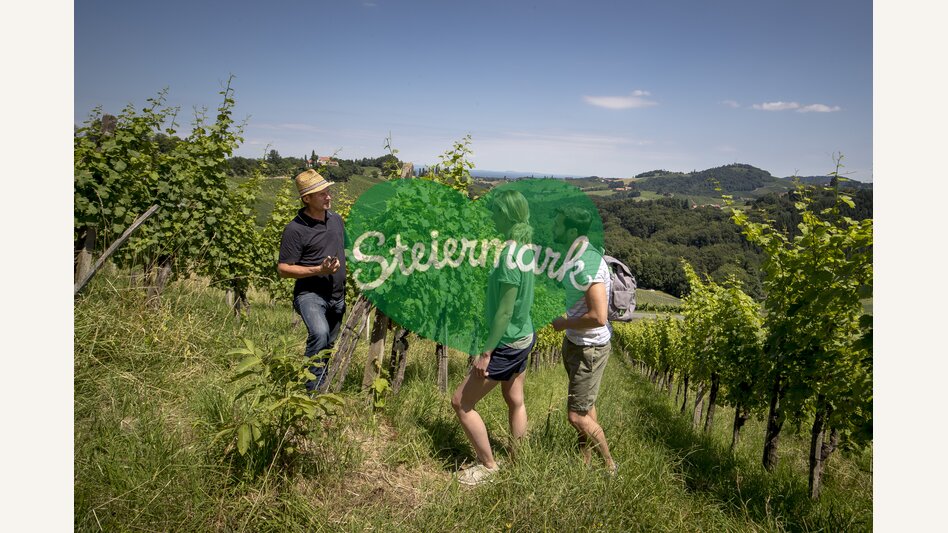 In the vineyards of Hans Söll on the Sernauberg | © Südsteiermark | Tom Lamm