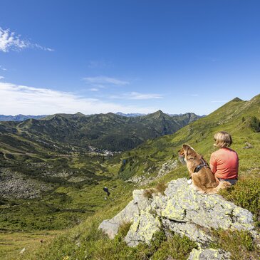 Auf der Planneralm mit Hund