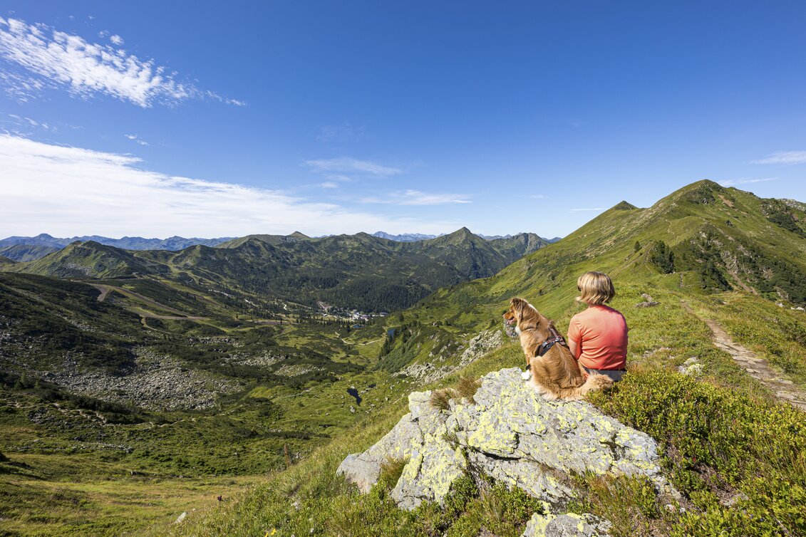 Auf der Planneralm mit Hund | © STG | photo-austria.at