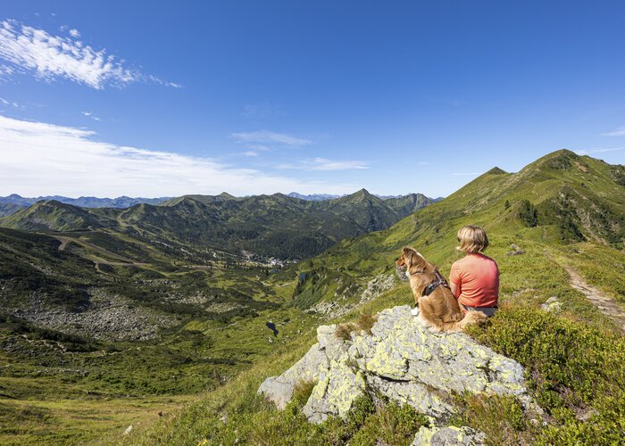 At the Planneralm with a dog | © Steiermark Tourismus | photo-austria.at