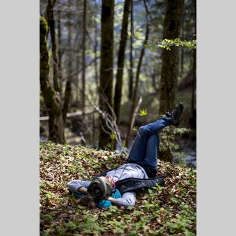 Forest bathing in the Green Heart | © Steiermark Tourismus | Tom Lamm