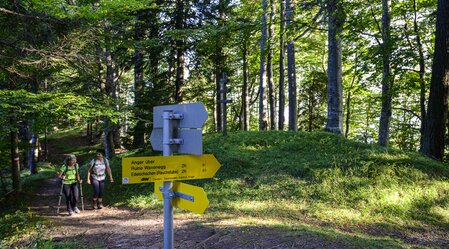 Hiking route from the glacier to the wine: stage 25 from the Almenland to Anger | © Steiermark Tourismus | Pixelmaker
