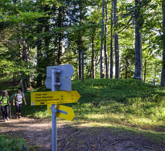 Am Weg vom Almenland nach Anger | © STG | pixelmaker.at