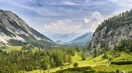 Wanderroute Vom Gletscher zum Wein: Etappe 11 auf der Sulzkaralm | © Steiermark Tourismus | Pixelmaker