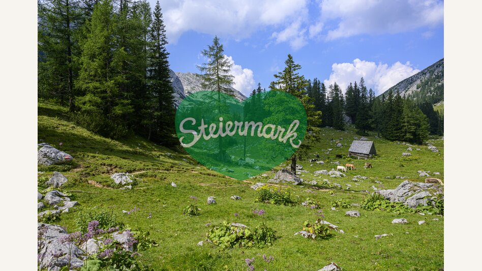 On the way from Mödlingerhütte to Heßhütte | © Steiermark Tourismus | pixelmaker.at