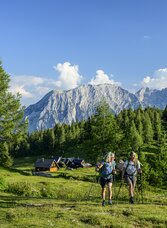On the Tauplitzalm