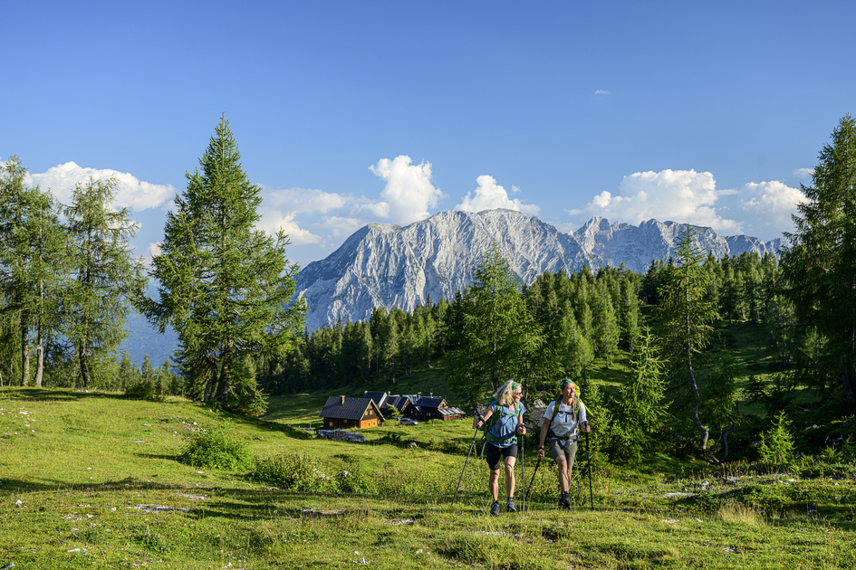 Auf der Tauplitzalm | © STG | pixelmaker.at