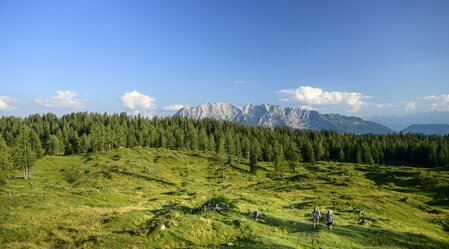 Wanderroute Vom Gletscher zum Wein: Etappe 4 auf der Tauplitzalm | © Steiermark Tourismus | Pixelmaker