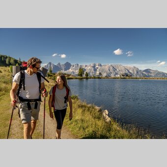 Auf der Reiteralm mit dem Dachstein im Hintergrund | © STG | photo-austria.at