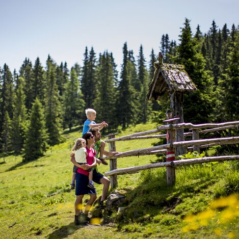 Frühlingswanderung auf die Frauenalpe | © STG | Tom Lamm