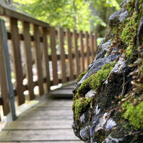 Geopfad in der Nothklamm im Naturpark Eisenwurzen | © STG | Günther Steininger