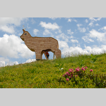 Riesneralm | Erwin Petz