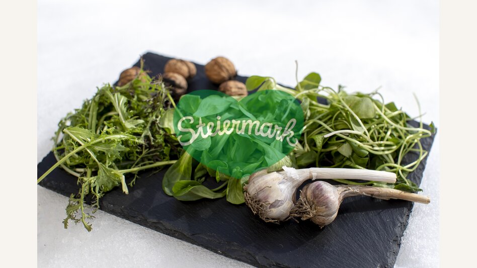 Salate und Sprossen im Winter | © STG | Tom Lamm