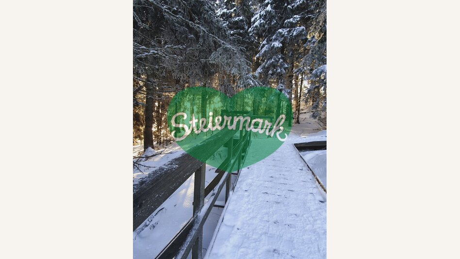 Auf dem Weg durch die winterliche Steiermark | © STG | Günther Steininger