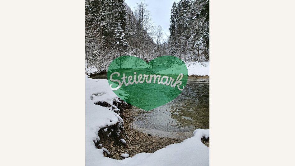 Winter in den steirischen Wäldern | © STG | Günther Steininger