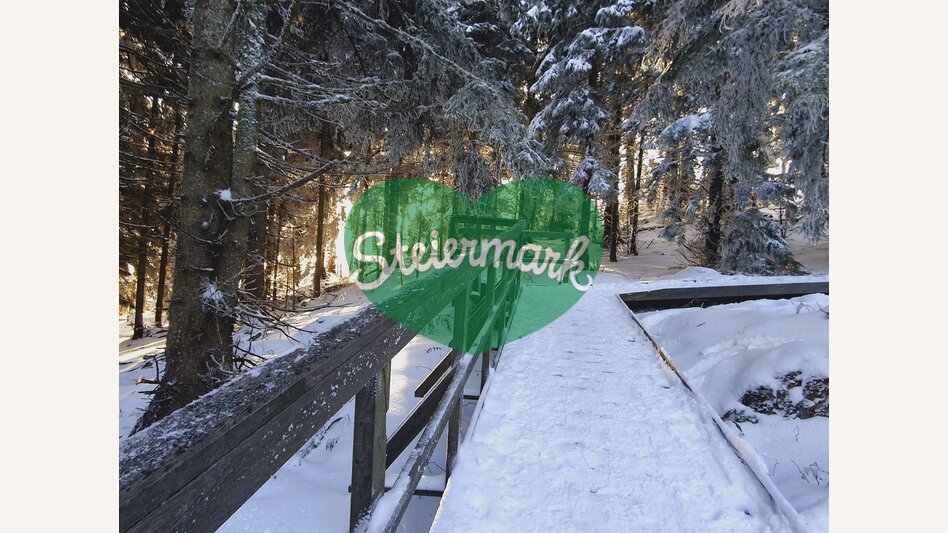Auf dem Weg durch die winterliche Steiermark | © STG | Günther Steininger