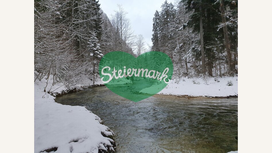 Winter in den steirischen Wäldern | © STG | Günther Steininger