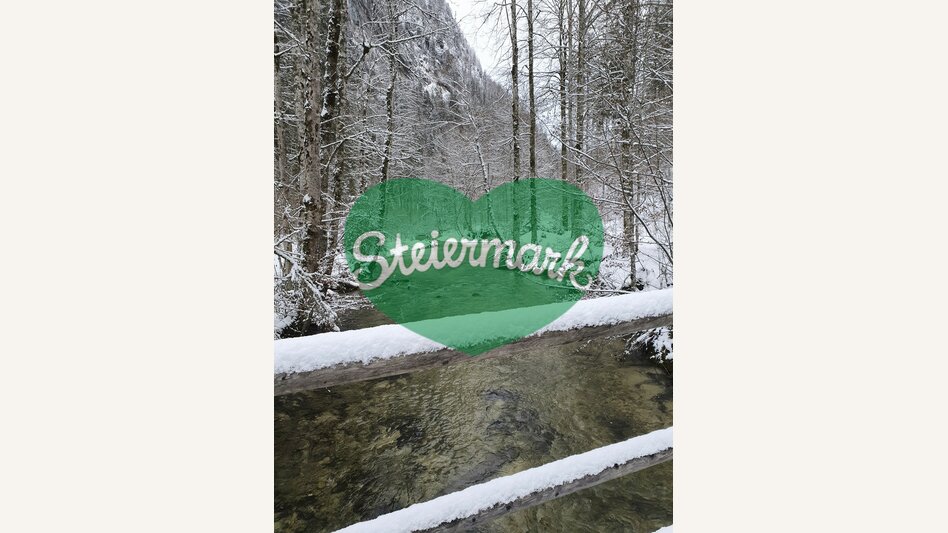Winterstimmung im Wald | © STG | Günther Steininger