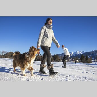 Winter hiking and cross-country skiing, Ramsau am Dachstein | © Steiermark Tourismus | photo-austria.at
