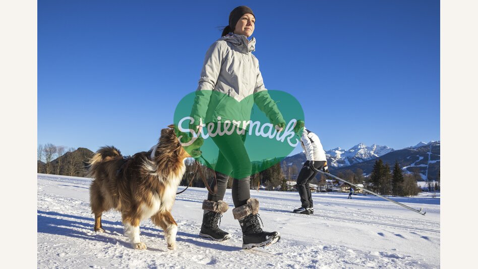Winter hiking and cross-country skiing, Ramsau am Dachstein | © Steiermark Tourismus | photo-austria.at