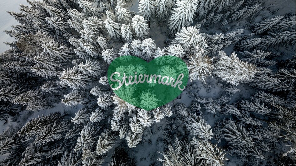 Steirischer Winter-Wald von oben | © STG | Tom Lamm