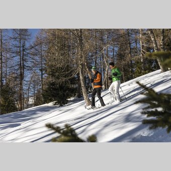 Snowshoe Hiking on the Tauplitz | © Steiermark Tourismus | Punkt & Komma