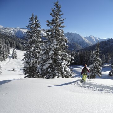Moaralm mit Blick auf die Seckauer Alpen
