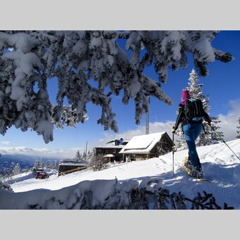 Schneeschuhwandern zur Steinplanhütte | © WEGES | Weges
