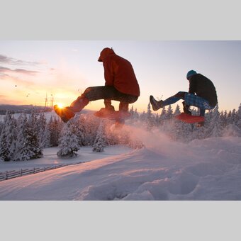 Zipflbobfahren im Joglland in der Oststeiermark | © Thomas Wieser