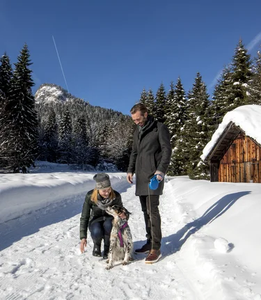 Winter walk with a dog in the region Ausseerland, to the Blaa-Alm | © Steiermark Tourismus | Tom Lamm