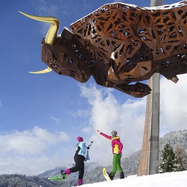 Schneeschuhwandern am Red Bull Ring