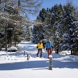 Schneeschuhwandern bei der Tonnerhütte am Zirbitzkogel