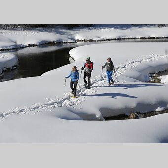 Snowshoeing in Hohentauern  | © STG | photo-austria.at