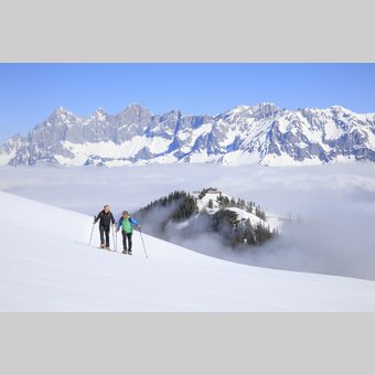 Schneeschuhwandern auf der Hochwurzen mit Bergführer Heli Rettensteiner | © STG | photo-austria.at