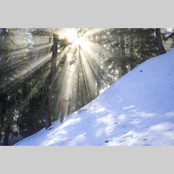 Snowshoeing from the Hochwurzen to the Roßfeld (Schladming-Dachstein) | © STG | photo-austria.at