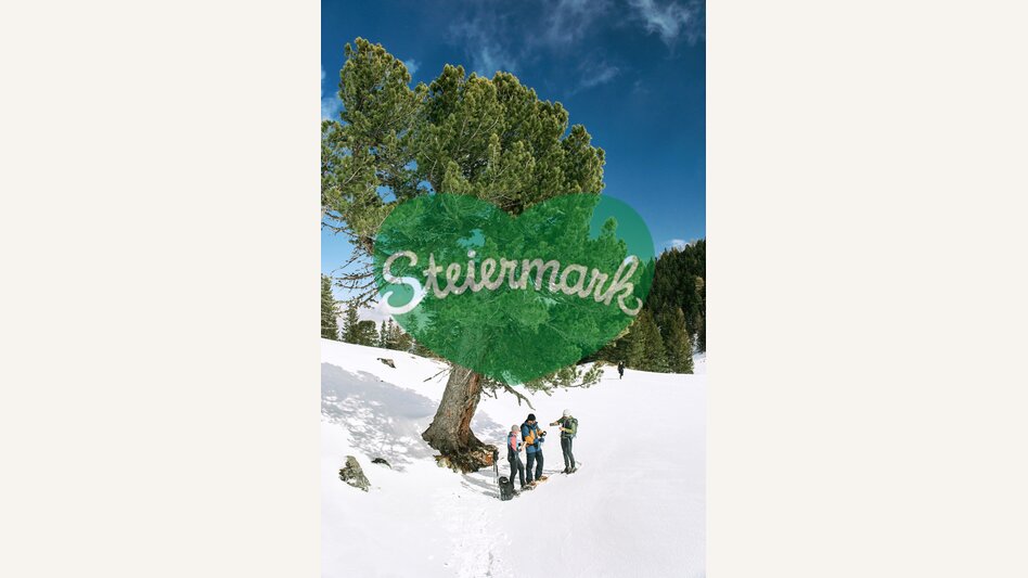 Schneeschuhwandern | © Erlebnisregion Murtal | Robert Maybach