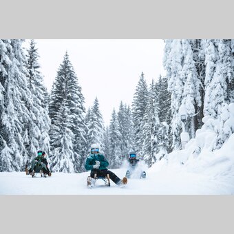 Rodeln am Rittisberg | © TVB Schladming-Dachstein | Mathäus Gartner