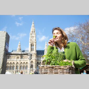 Steiermark in Wien | © STG | Jürgen Hammerschmid