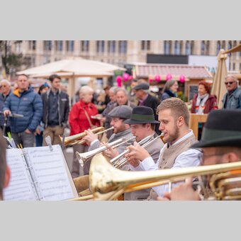 Musikalische Untermalung | Rene Strasser | © STG | René Strasser