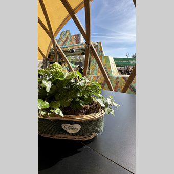 © Erzberg-Leoben
