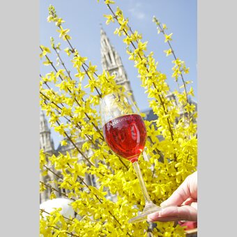 Steiermark_Frühling_Frühlingsstimmung | © STG | Jürgen Hammerschmid